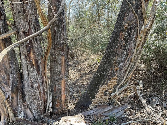 TBD County Road 212, Hallettsville, TX 77964