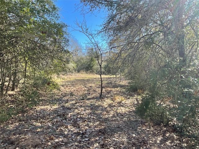TBD County Road 212, Hallettsville, TX 77964