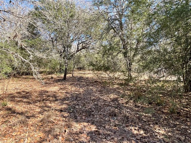 TBD County Road 212, Hallettsville, TX 77964