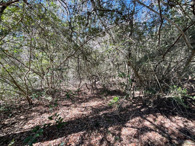 TBD County Road 212, Hallettsville, TX 77964