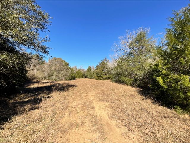 TBD County Road 212, Hallettsville, TX 77964