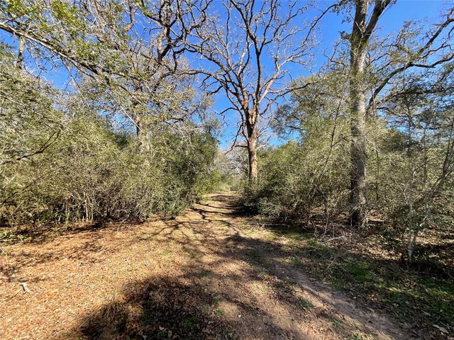 TBD County Road 212, Hallettsville, TX 77964