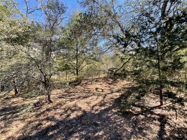 TBD County Road 212, Hallettsville, TX 77964