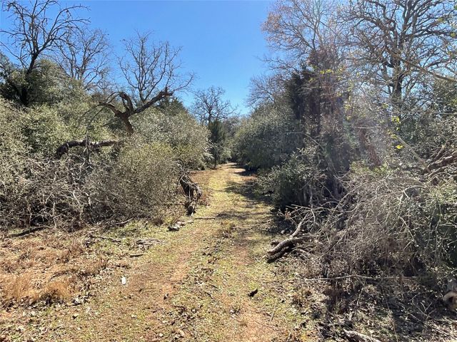 TBD County Road 212, Hallettsville, TX 77964