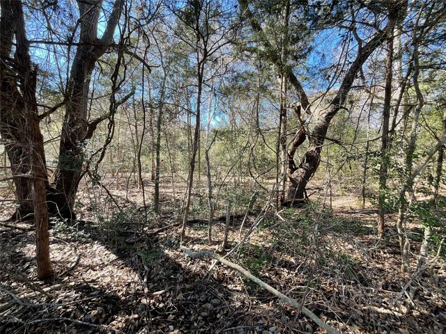 TBD County Road 212, Hallettsville, TX 77964