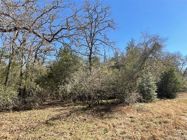 TBD County Road 212, Hallettsville, TX 77964