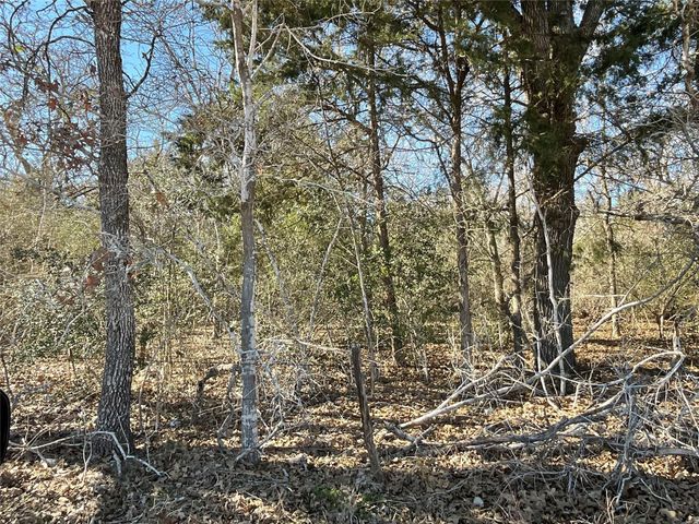 TBD County Road 212, Hallettsville, TX 77964