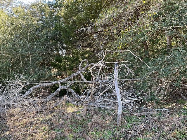 TBD County Road 212, Hallettsville, TX 77964