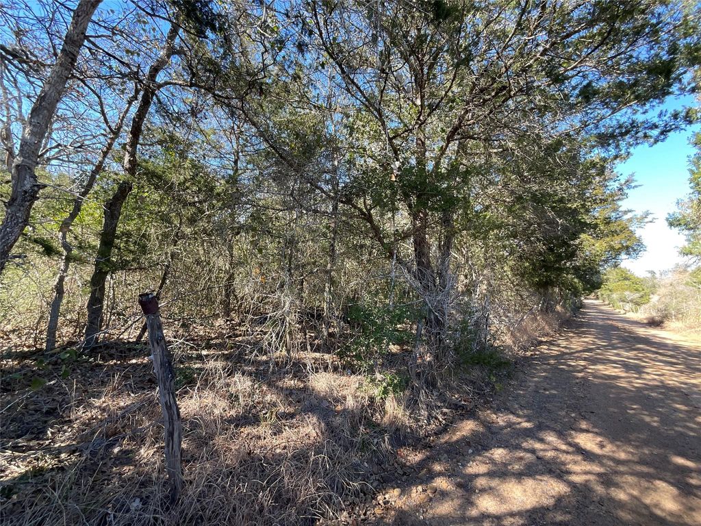 TBD County Road 212, Hallettsville, TX 77964