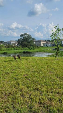 35542 BUTTONWEED, Zephyrhills, FL 33541