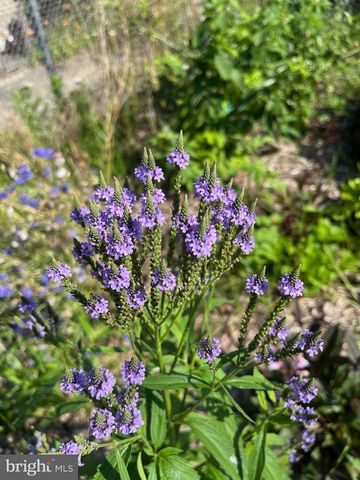 331 WHITFIELD RD, Baltimore, MD 21228