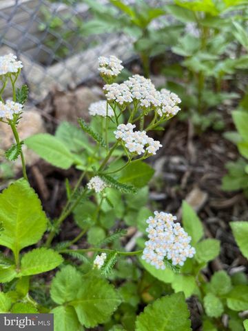 331 WHITFIELD RD, Baltimore, MD 21228