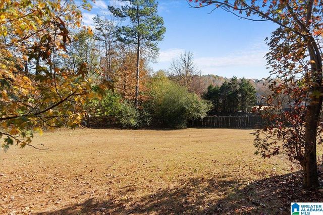 513 SUNSET LAKE LANE, Chelsea, AL 35043