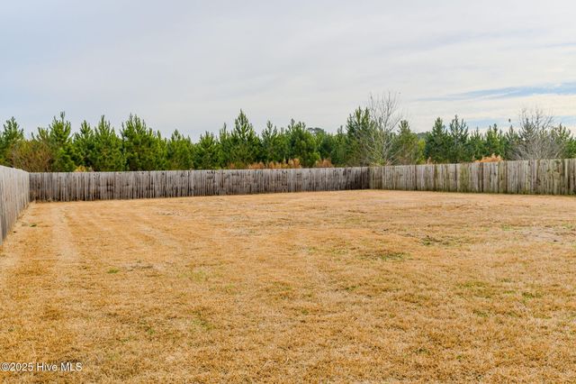 217 Wingspread Lane, Beulaville, NC 28518