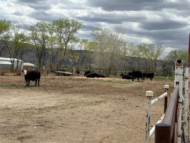 851 21 Road, Fruita, CO 81521