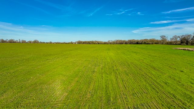 Tract #2 FM 1643, Winnsboro, TX 75494