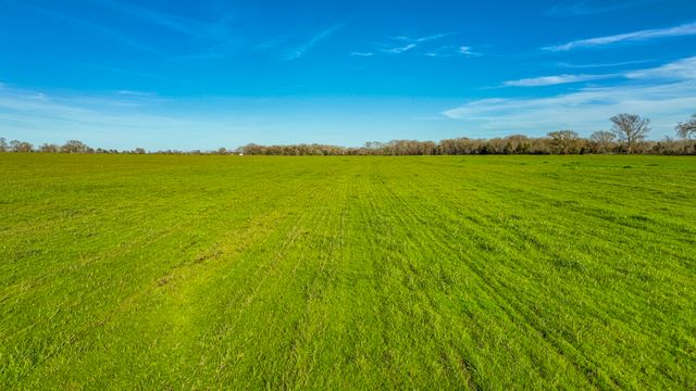 Tract #2 FM 1643, Winnsboro, TX 75494