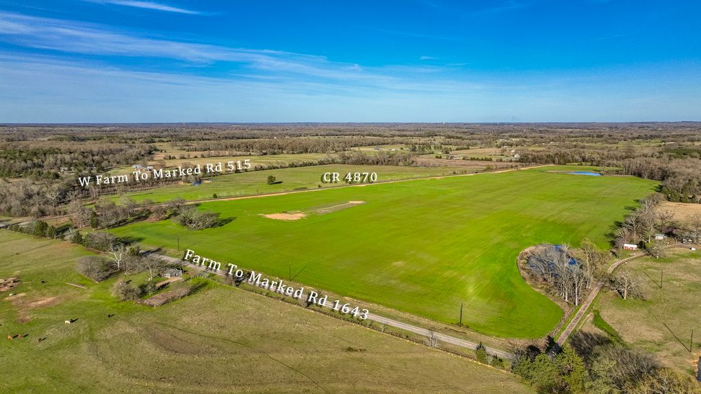 Tract #2 FM 1643, Winnsboro, TX 75494