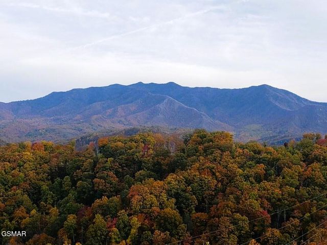 862 Sourwood Drive, Gatlinburg, TN 37738