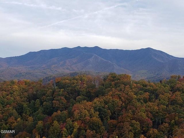 862 Sourwood Drive, Gatlinburg, TN 37738