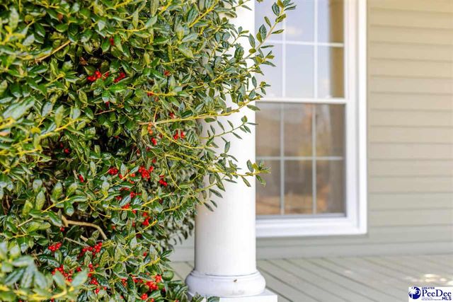 455 Harborough Court, Florence, SC 29501