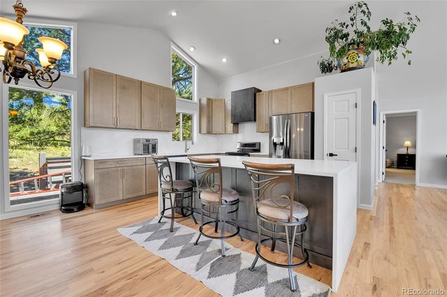 125 El Lobo Lane, Bailey, CO 80421