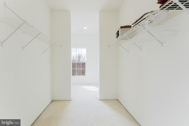 16804 NUTTAL OAK PL, Woodbridge, VA 22191