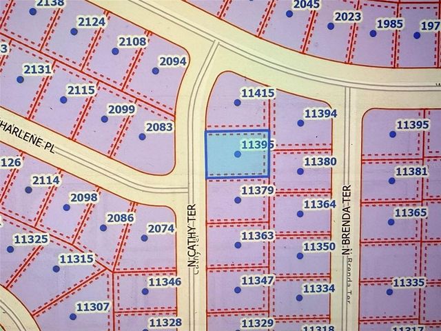 11395 N CATHY TERRACE, Citrus Springs, FL 34434