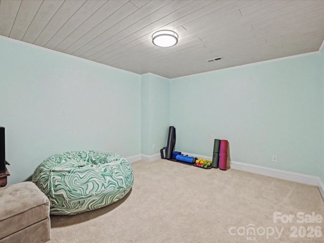 18801 River Falls Drive, Davidson, NC 28036