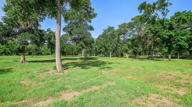 15610 Tierra Grande Drive, Needville, TX 77461