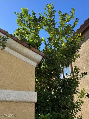 813 White Falcon Street, Las Vegas, NV 89144