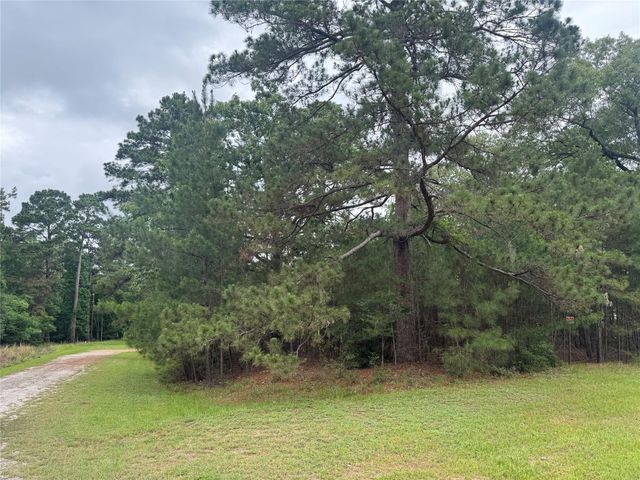 TBD Persimmon Cir, Point Blank, TX 77364
