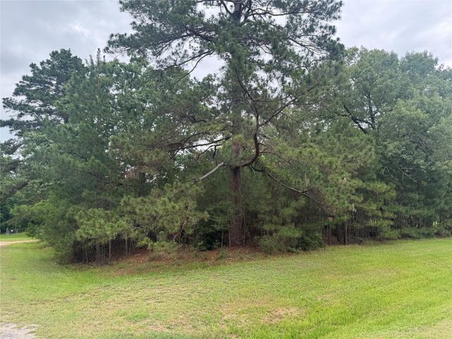 TBD Persimmon Cir, Point Blank, TX 77364