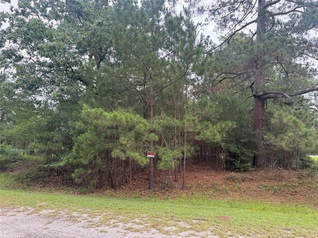TBD Persimmon Cir, Point Blank, TX 77364