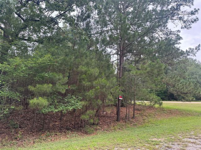 TBD Persimmon Cir, Point Blank, TX 77364