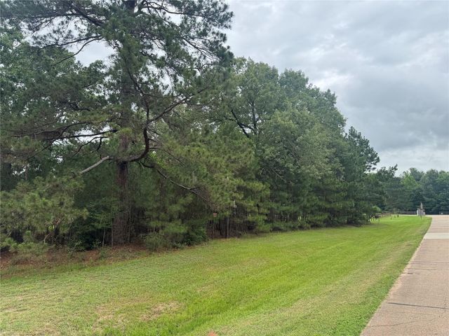 TBD Persimmon Cir, Point Blank, TX 77364