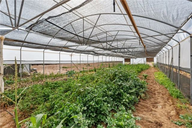 23670 Shirwaun, Apple Valley, CA 92307