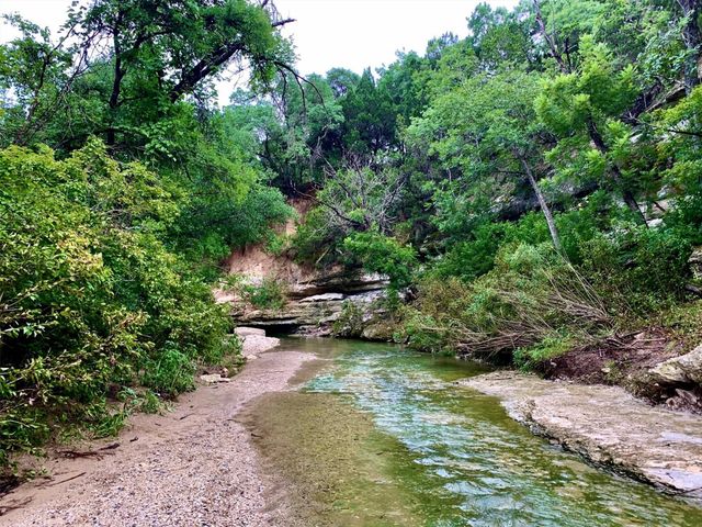 1305 Doonesbury DR, Austin, TX 78758