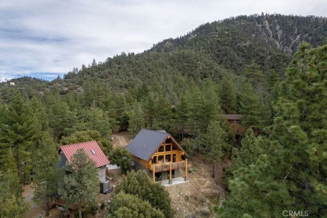 1513 Woodland, Pine Mountain Club, CA 93222