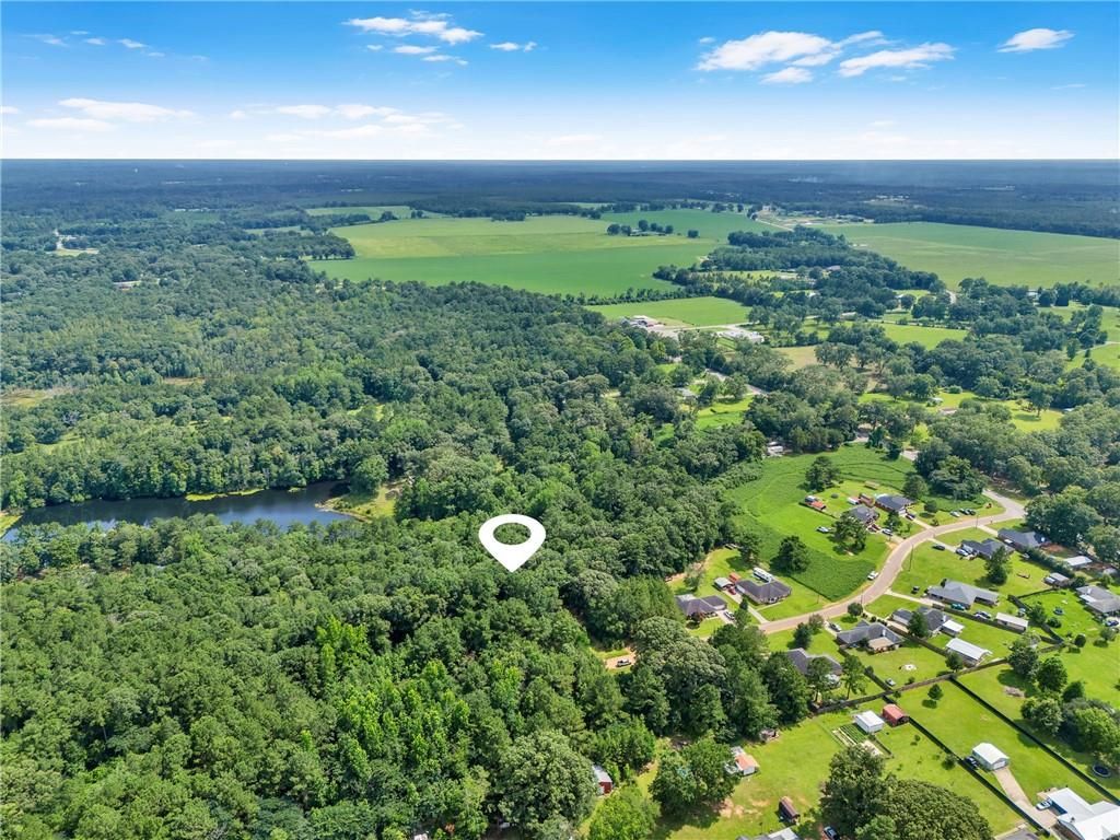 0 Dreamway Drive, Chunchula, AL 36521 — photo 5