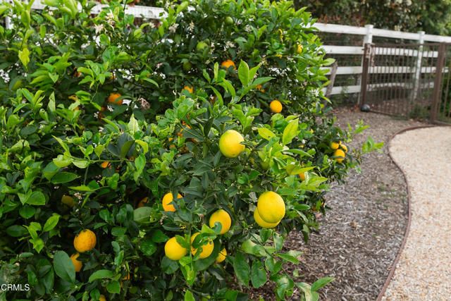 2296 Applewood Lane, Camarillo, CA 93012