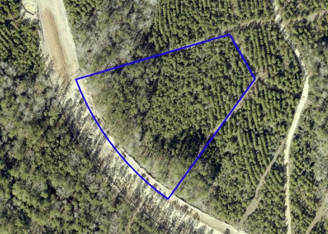 15590 Woodlife Road, Willis, TX 77378