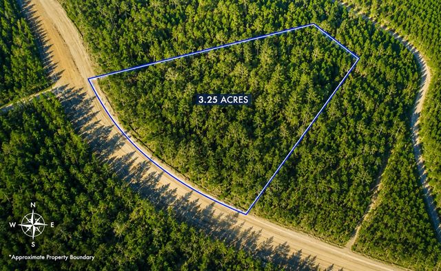 15590 Woodlife Road, Willis, TX 77378