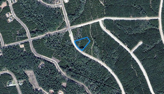 15590 Woodlife Road, Willis, TX 77378