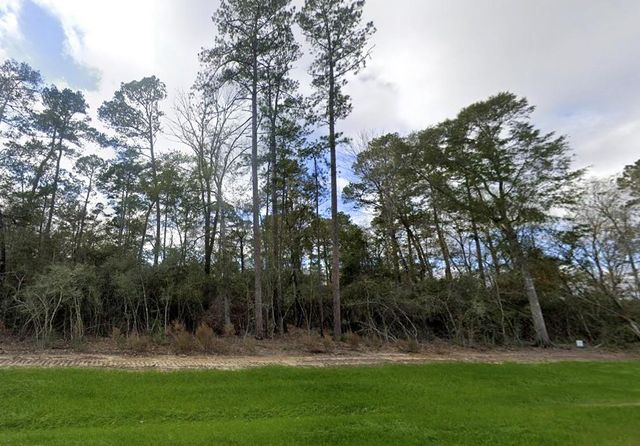 15590 Woodlife Road, Willis, TX 77378