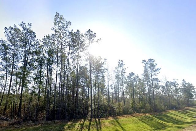 15590 Woodlife Road, Willis, TX 77378
