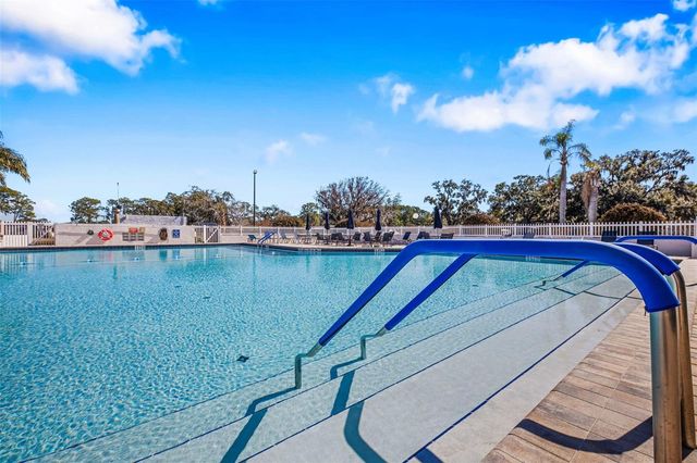 313 PALO VERDE DRIVE, Leesburg, FL 34748