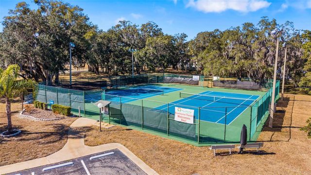 313 PALO VERDE DRIVE, Leesburg, FL 34748