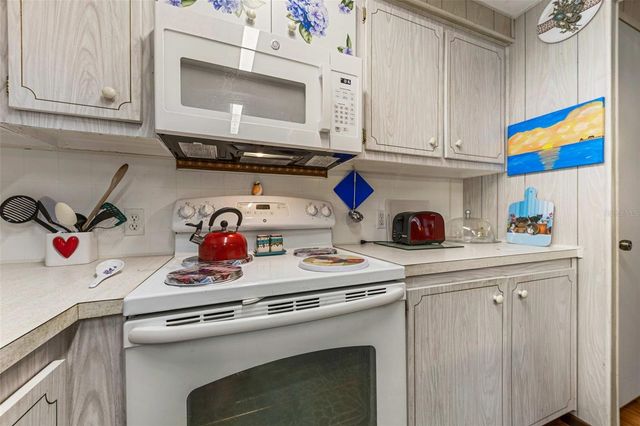 313 PALO VERDE DRIVE, Leesburg, FL 34748