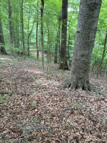 1276 Jericho Church Road, Mocksville, NC 27028